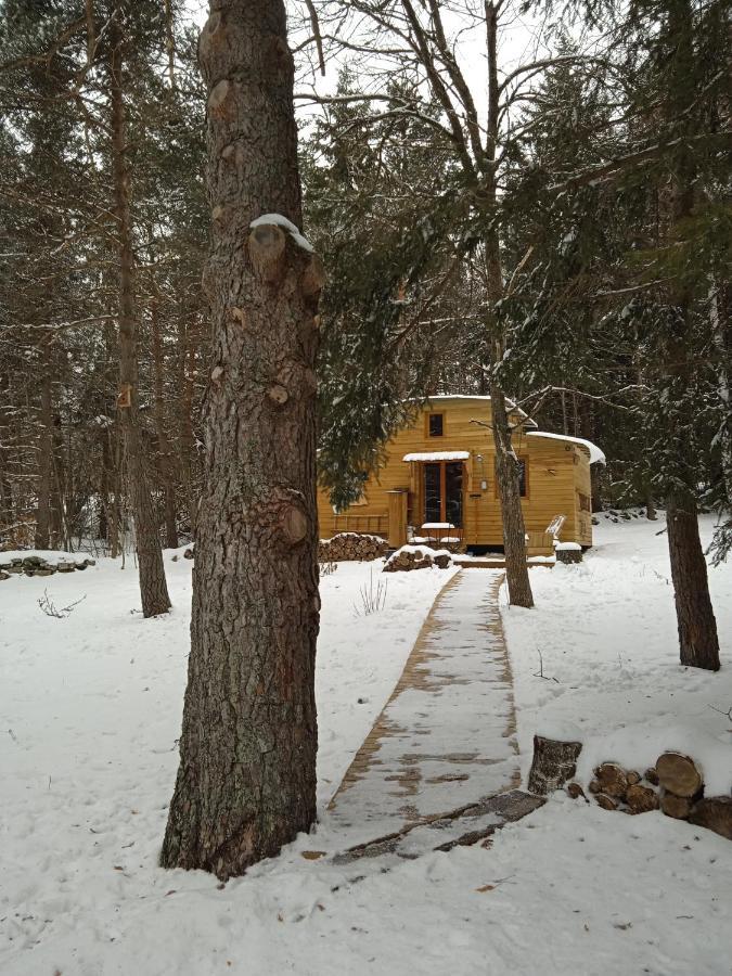 Chalet Cricri Domaine De La Mamounette Champclause Dış mekan fotoğraf