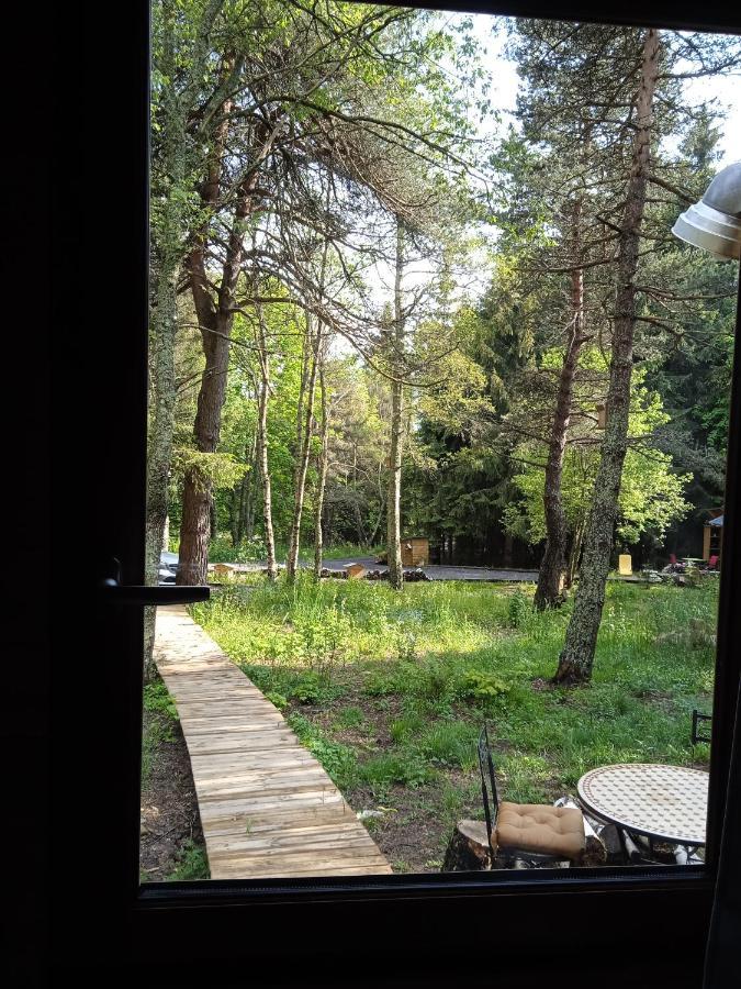 Chalet Cricri Domaine De La Mamounette Champclause Dış mekan fotoğraf