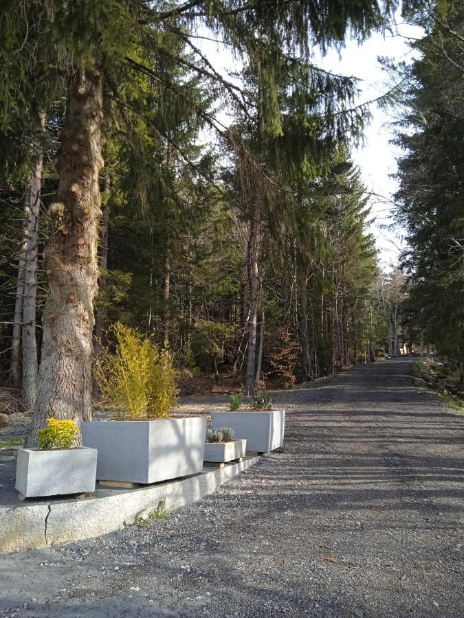 Chalet Cricri Domaine De La Mamounette Champclause Dış mekan fotoğraf