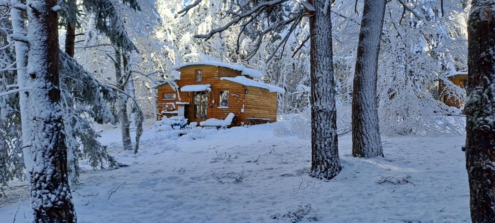 Chalet Cricri Domaine De La Mamounette Champclause Dış mekan fotoğraf